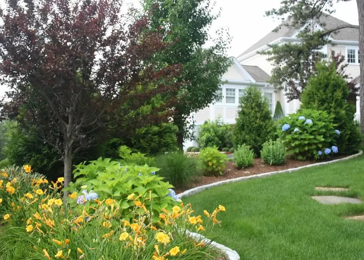 How Seasonal Lawn Maintenance Cape Cod Protects Your Landscape...